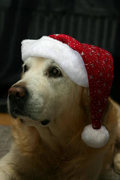 26.12.2005