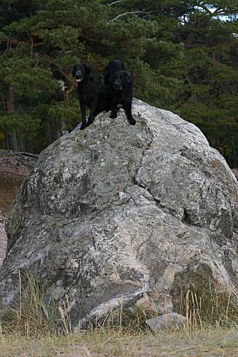14.12.2005