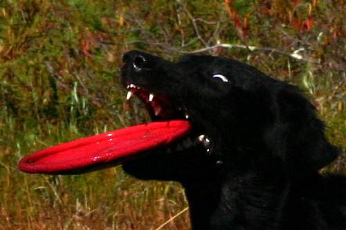 17.09.2005