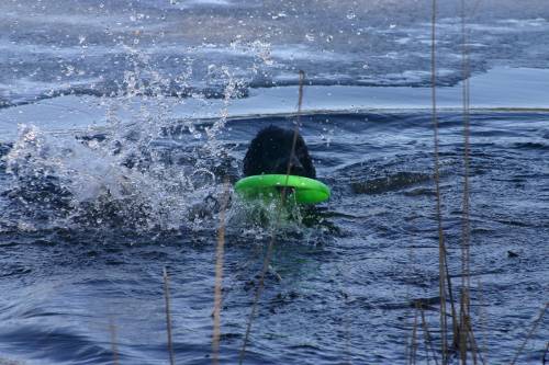 04.05.2005