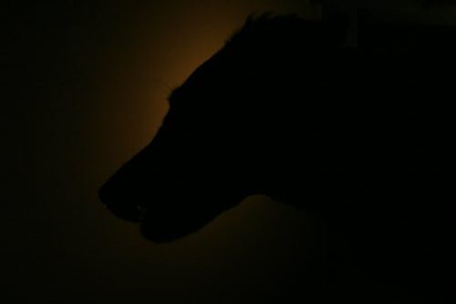 03.04.2005