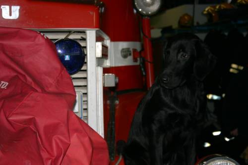 22.02.2005