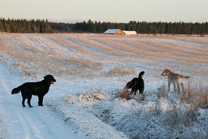 25.12.2006