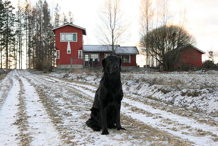 19.12.2006