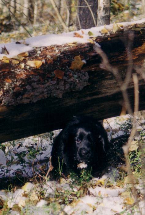 27.09.2006
