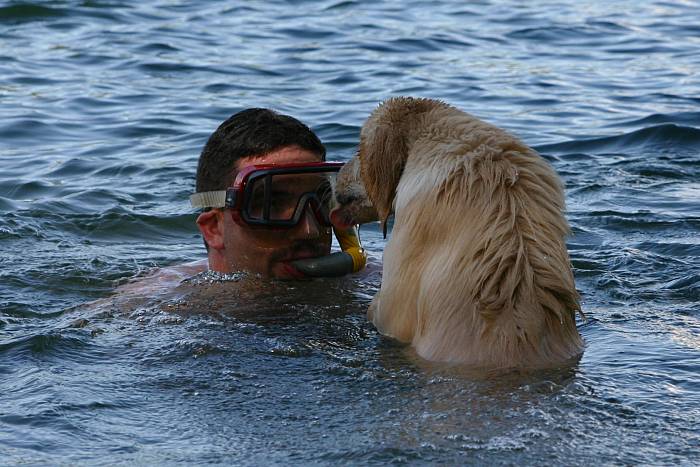 17.07.2006