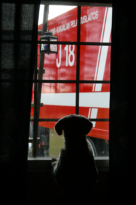 21.05.2008
