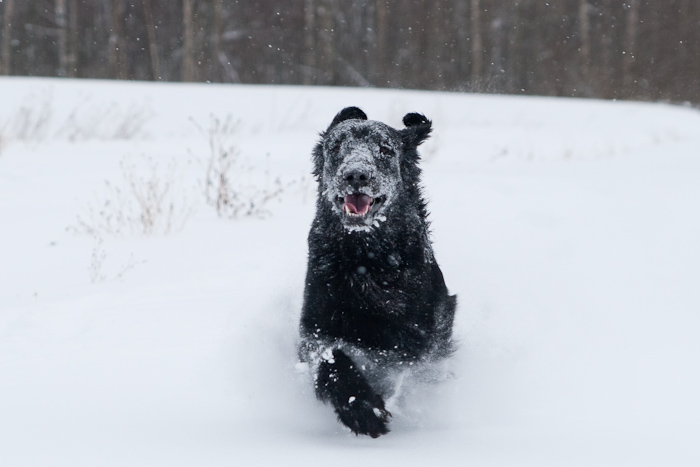 12.02.2009