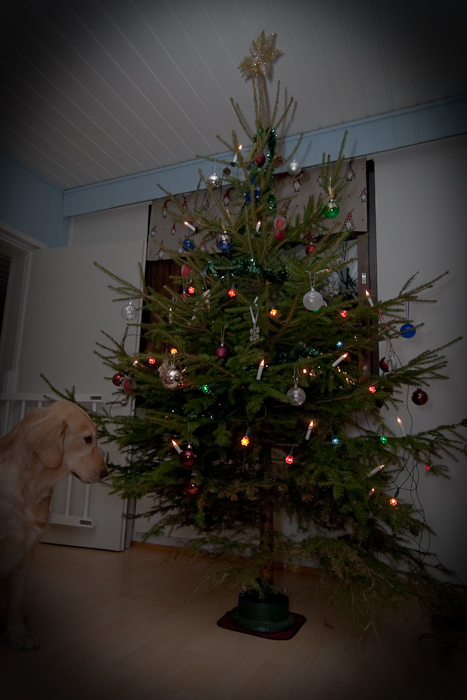 24.12.2009