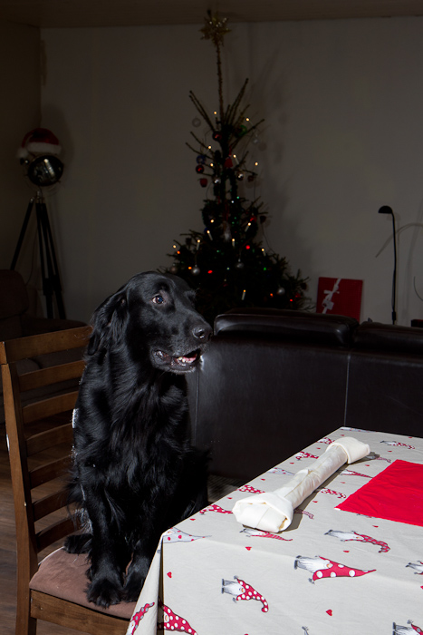 25.12.2010