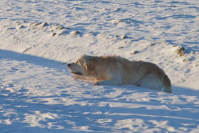 10.12.2010