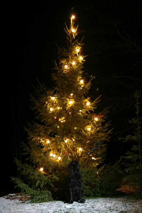 26.12.2007